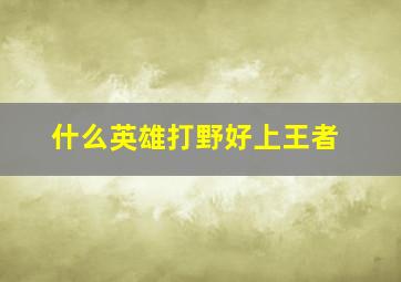 什么英雄打野好上王者