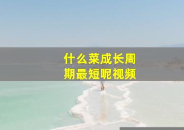 什么菜成长周期最短呢视频