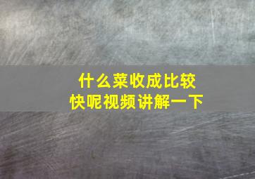 什么菜收成比较快呢视频讲解一下