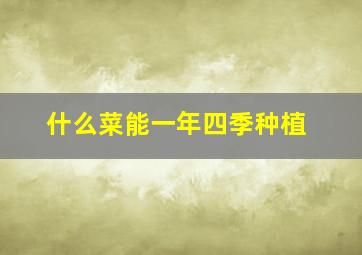 什么菜能一年四季种植