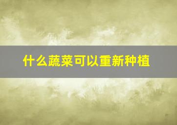 什么蔬菜可以重新种植