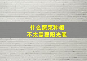 什么蔬菜种植不太需要阳光呢