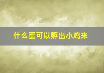 什么蛋可以孵出小鸡来