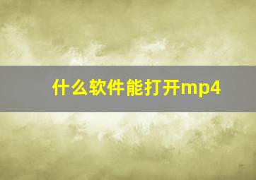 什么软件能打开mp4