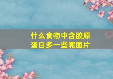 什么食物中含胶原蛋白多一些呢图片