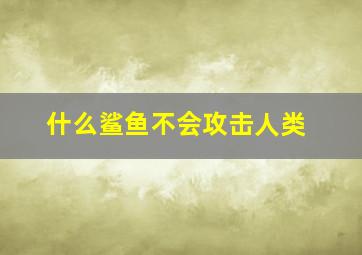 什么鲨鱼不会攻击人类