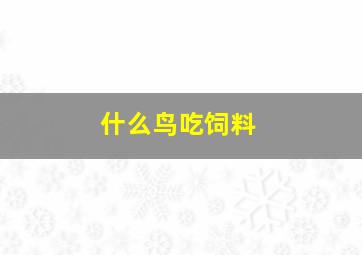 什么鸟吃饲料