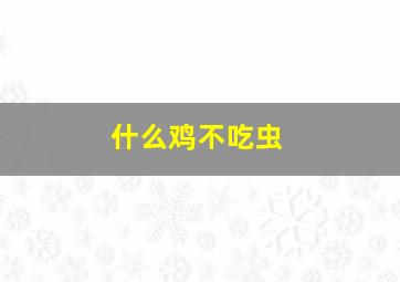 什么鸡不吃虫