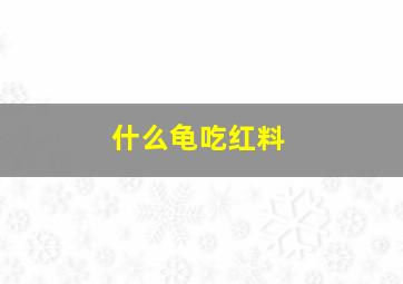 什么龟吃红料