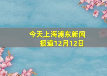 今天上海浦东新闻报道12月12日