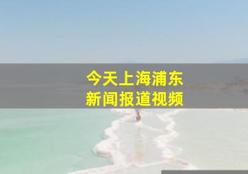 今天上海浦东新闻报道视频