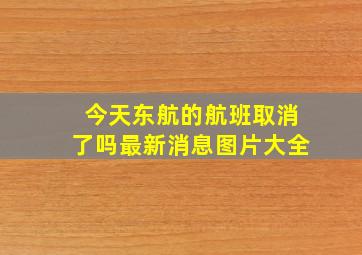 今天东航的航班取消了吗最新消息图片大全