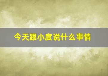 今天跟小度说什么事情