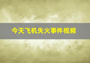 今天飞机失火事件视频