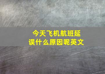 今天飞机航班延误什么原因呢英文