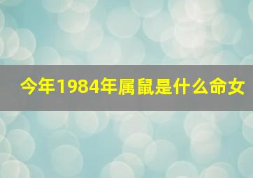 今年1984年属鼠是什么命女