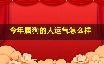 今年属狗的人运气怎么样