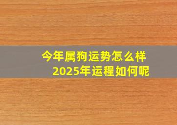 今年属狗运势怎么样2025年运程如何呢