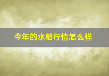 今年的水稻行情怎么样