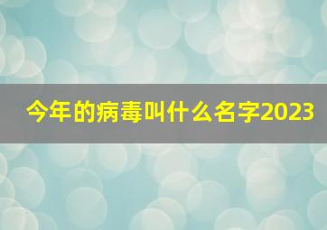 今年的病毒叫什么名字2023