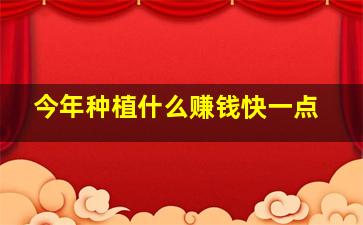 今年种植什么赚钱快一点