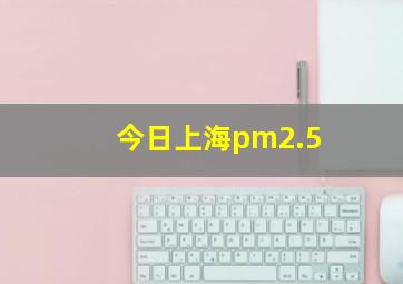 今日上海pm2.5