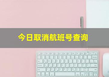 今日取消航班号查询