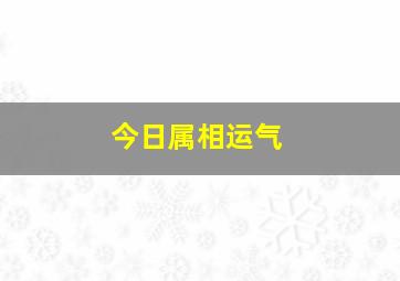 今日属相运气