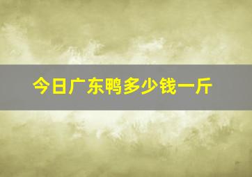 今日广东鸭多少钱一斤