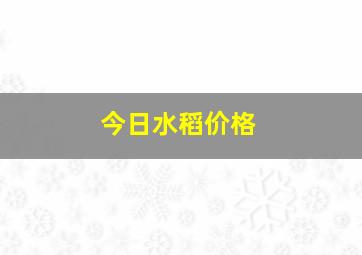 今日水稻价格