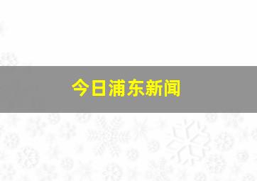 今日浦东新闻