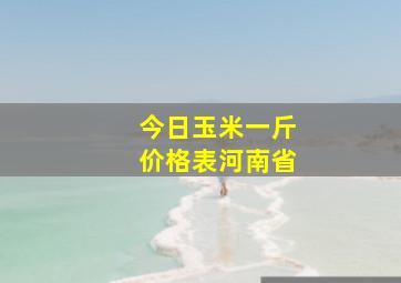 今日玉米一斤价格表河南省