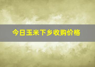 今日玉米下乡收购价格