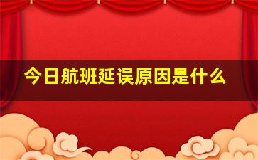 今日航班延误原因是什么