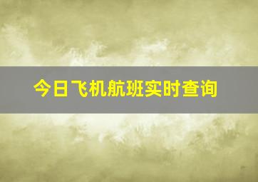 今日飞机航班实时查询