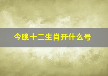 今晚十二生肖开什么号