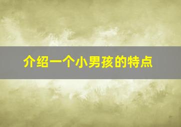 介绍一个小男孩的特点