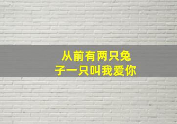 从前有两只兔子一只叫我爱你