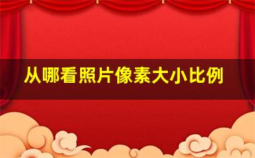 从哪看照片像素大小比例