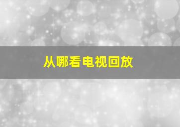 从哪看电视回放