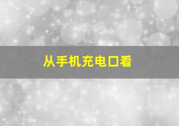 从手机充电口看