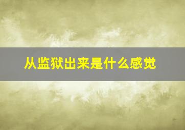 从监狱出来是什么感觉