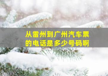 从雷州到广州汽车票的电话是多少号码啊