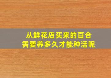 从鲜花店买来的百合需要养多久才能种活呢