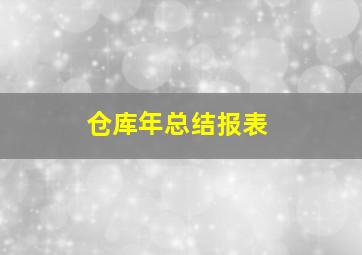 仓库年总结报表