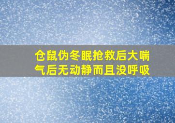 仓鼠伪冬眠抢救后大喘气后无动静而且没呼吸