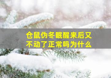 仓鼠伪冬眠醒来后又不动了正常吗为什么