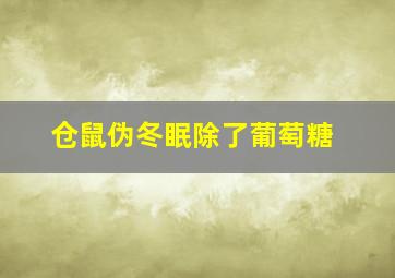 仓鼠伪冬眠除了葡萄糖