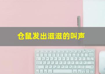 仓鼠发出滋滋的叫声