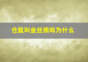 仓鼠叫金丝熊吗为什么